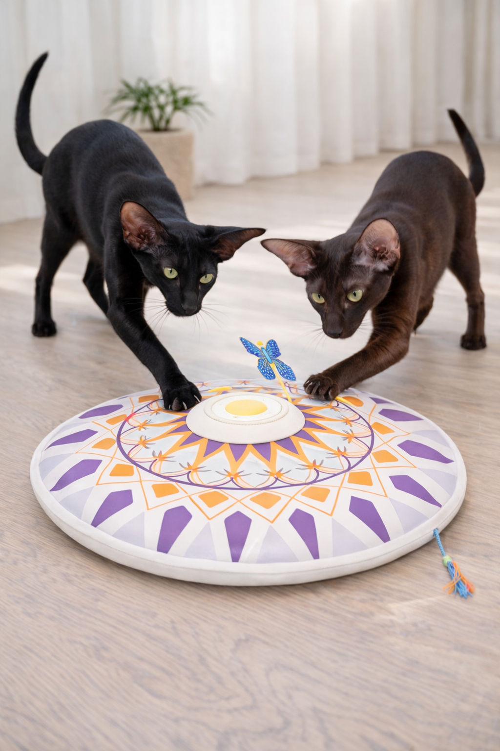 PurrSens 360 Interactive Cat Toy